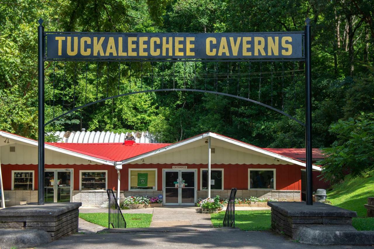 Twin Cub Lodge Tuckaleechee エクステリア 写真